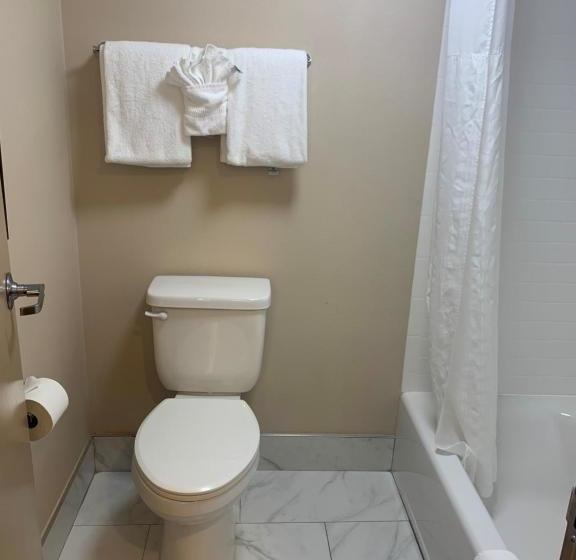 酒店 Comfort Inn Horsham   Philadelphia