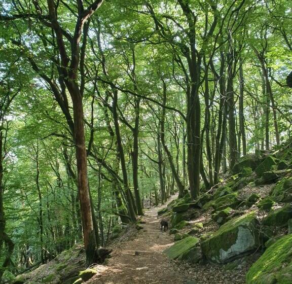 住宿加早餐 Weinhaus Paradies