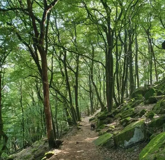 Aamiaismajoitus (B&B) Weinhaus Paradies