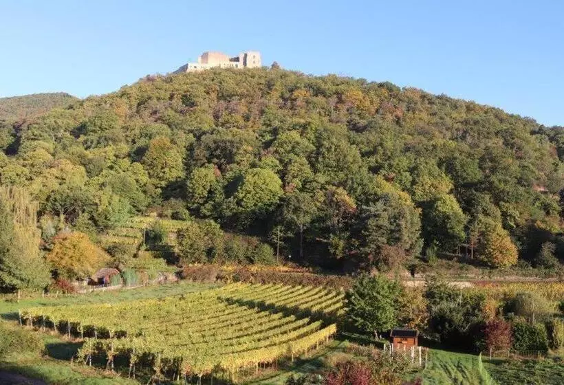 Aamiaismajoitus (B&B) Weinhaus Paradies