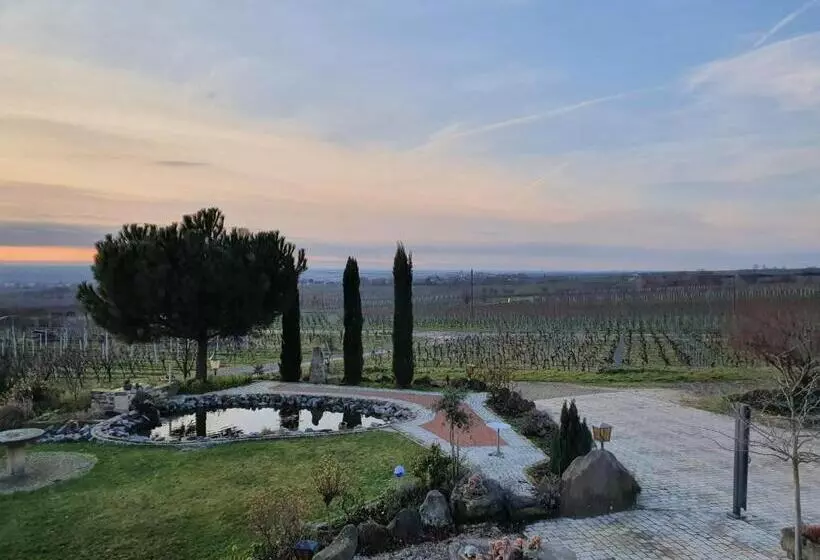 Aamiaismajoitus (B&B) Weinhaus Paradies