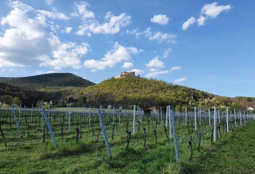 住宿加早餐 Weinhaus Paradies