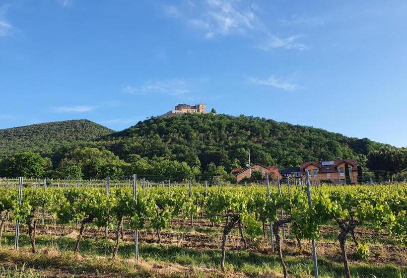 住宿加早餐 Weinhaus Paradies