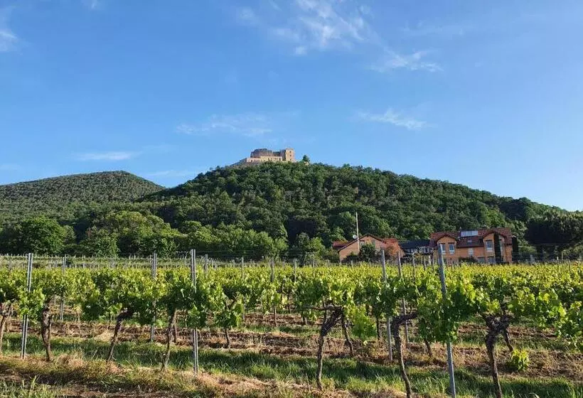 Aamiaismajoitus (B&B) Weinhaus Paradies