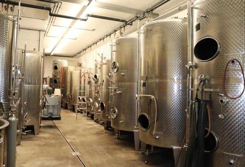 住宿加早餐 Weinhaus Paradies