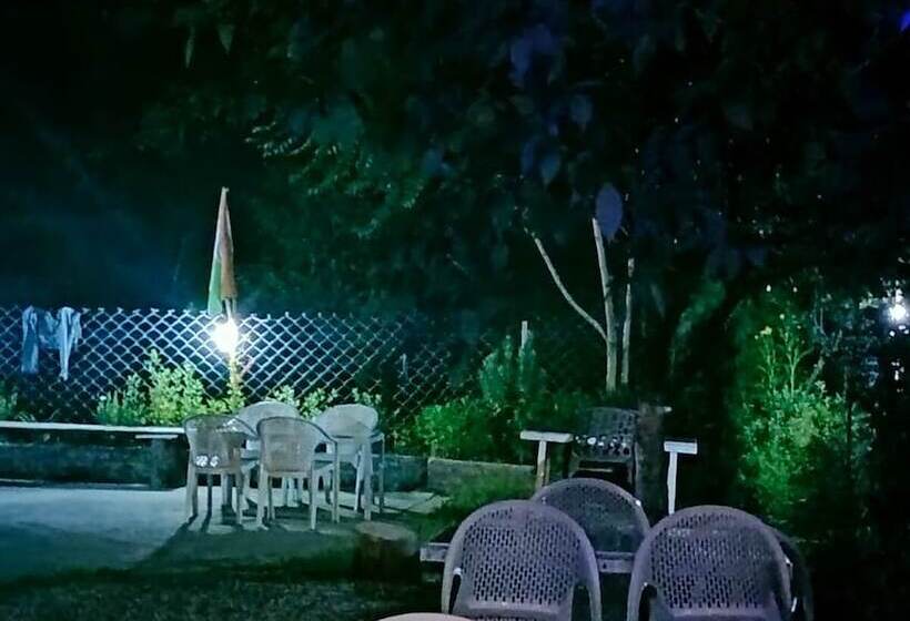 Отель Devlok International