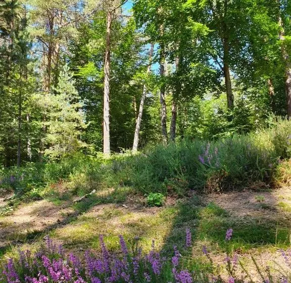 ホテル Hôtel Vvf Eden Lake