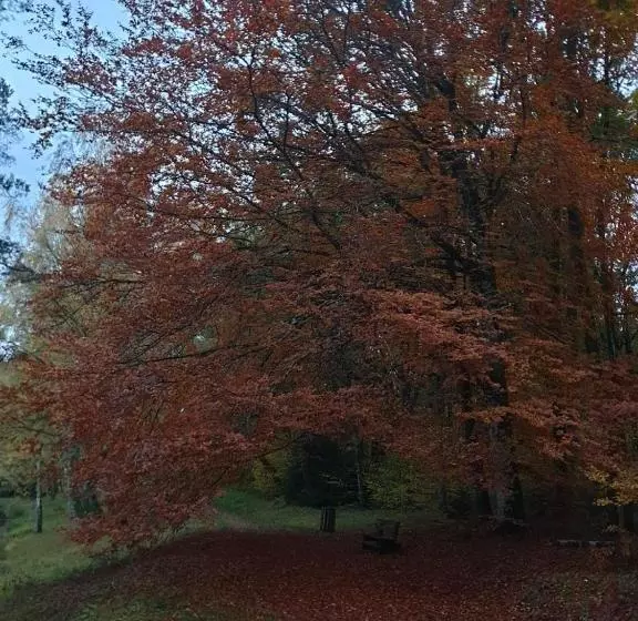 ホテル Hôtel Vvf Eden Lake