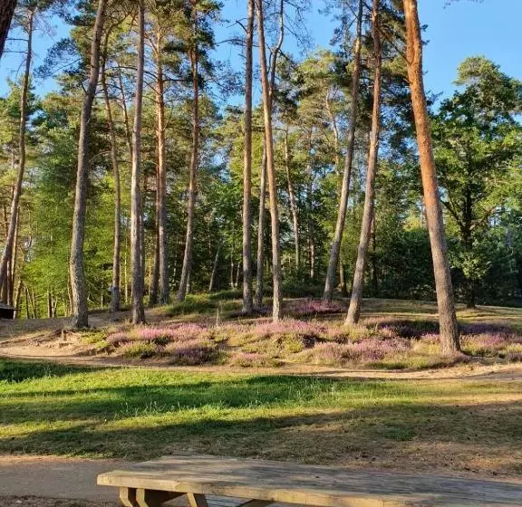 ホテル Hôtel Vvf Eden Lake