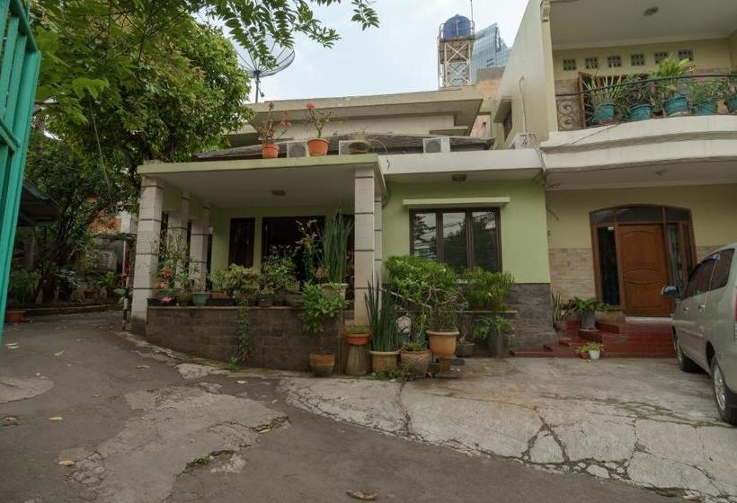 فندق Mango Suites Redpartner