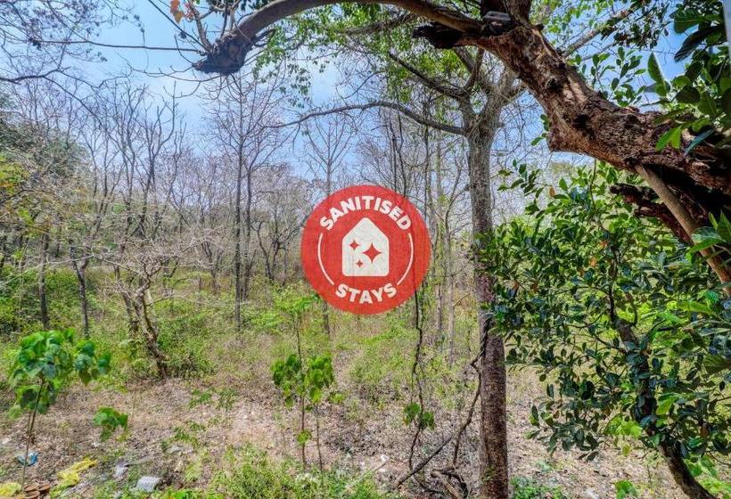 فندق Oyo 80204 Collection O Villa Do Flor