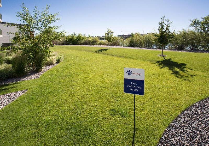 ホテル Candlewood Suites Idaho Falls, An Ihg