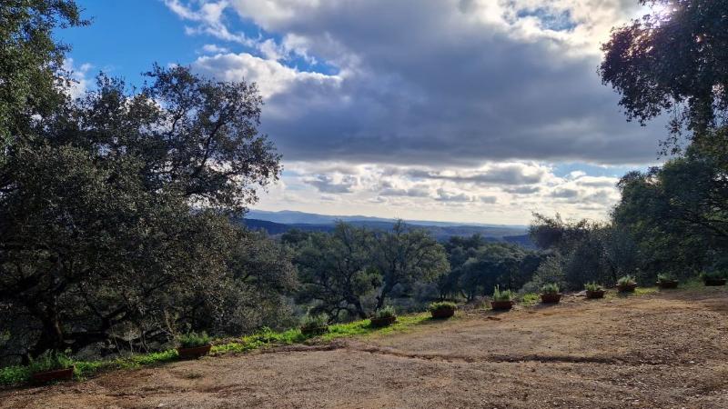 هتل La Era De Aracena  Adults Only