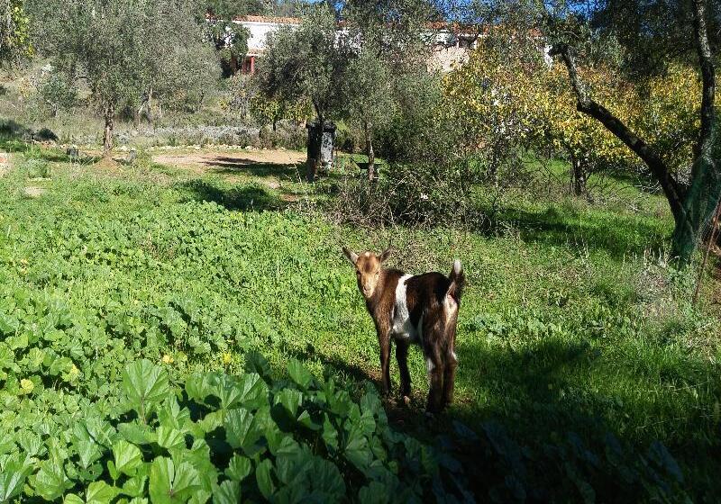 هتل La Era De Aracena  Adults Only