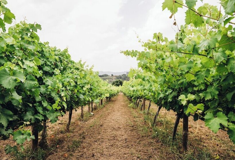 호텔 Quinta De Guimarães