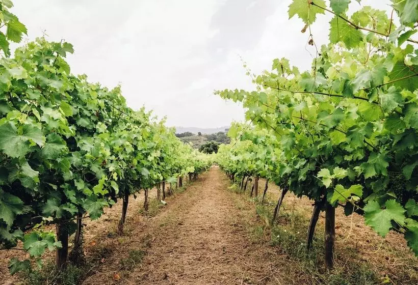 호텔 Quinta De Guimarães