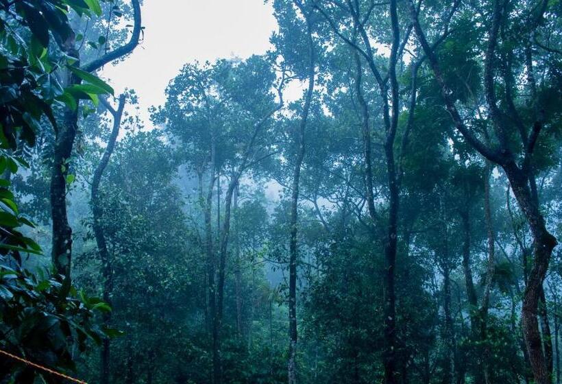 리조트 Edens Munnar