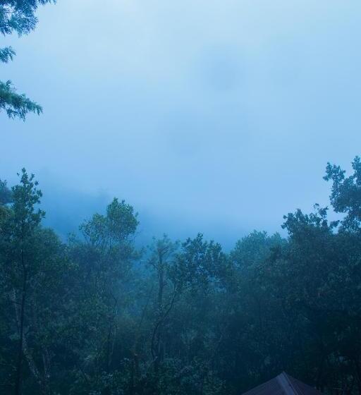 리조트 Edens Munnar