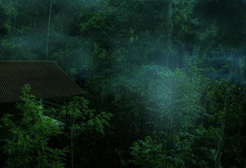 리조트 Edens Munnar