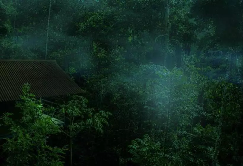 Resort Edens Munnar