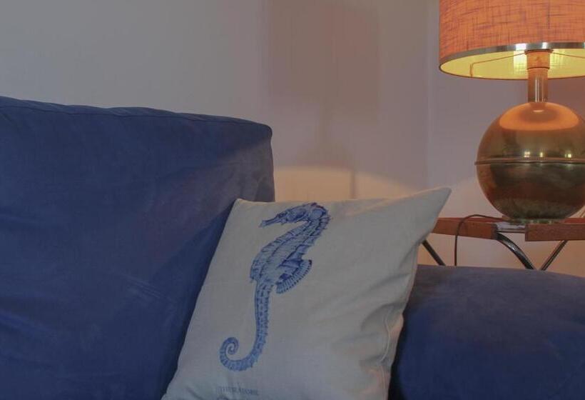 Bed and Breakfast Affittacamere Il Veliero