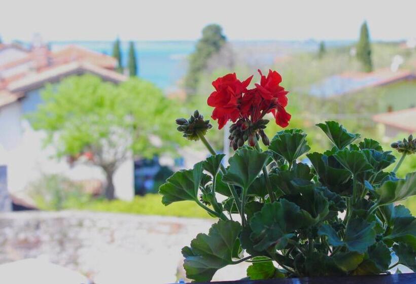 Bed and Breakfast Affittacamere Il Veliero