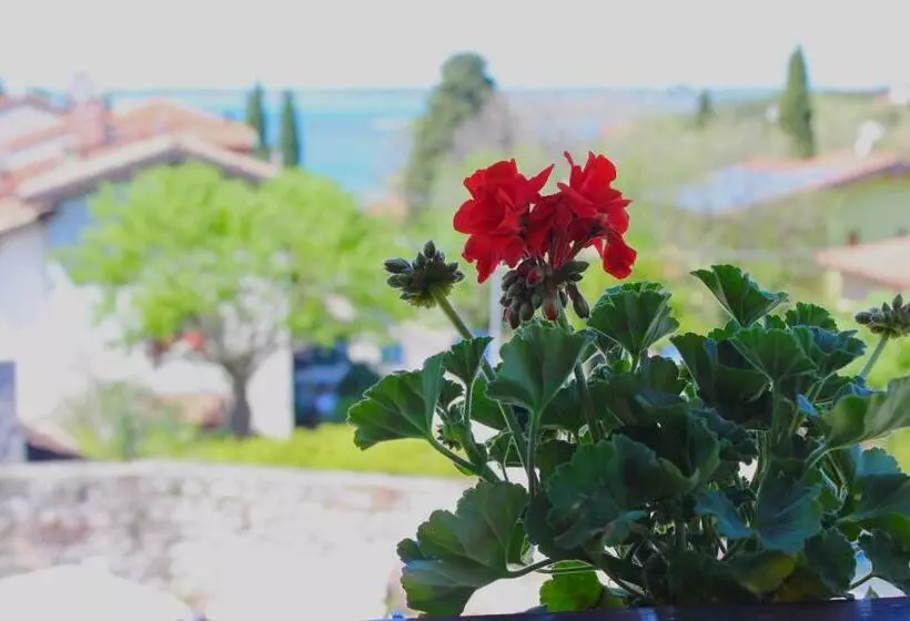 Bed and Breakfast Affittacamere Il Veliero