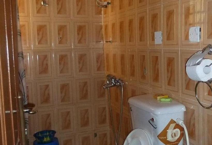 بنسيون Definite Destiny Standard