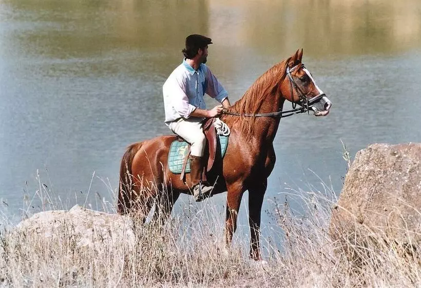 Отель Villa Dafne