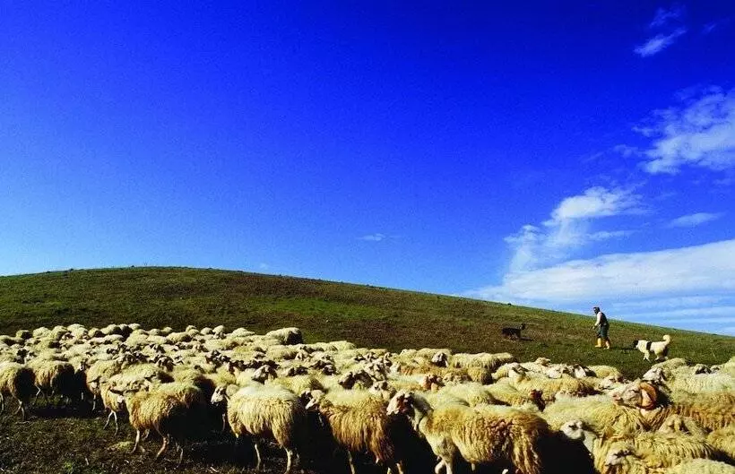 Отель Villa Dafne