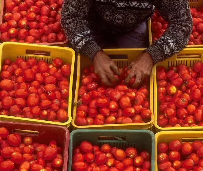 Отель Villa Dafne