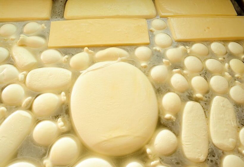 فندق Villa Dafne