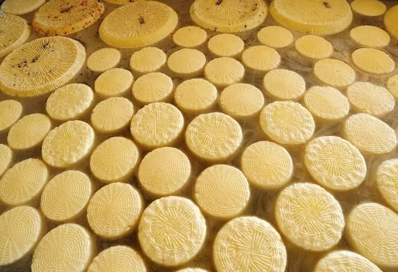 Отель Villa Dafne