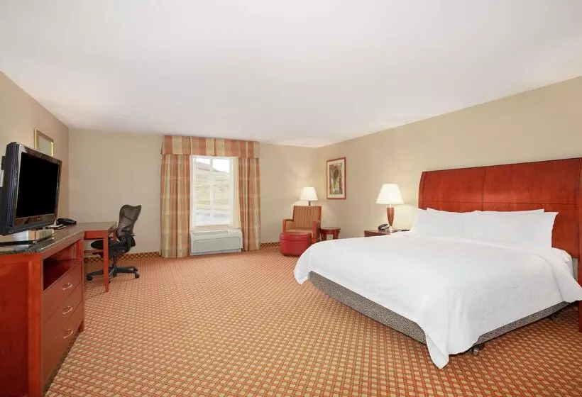 酒店 Hilton Garden Inn Casper