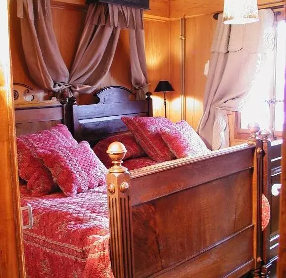 酒店 Hôtel Bella Tola & Spa