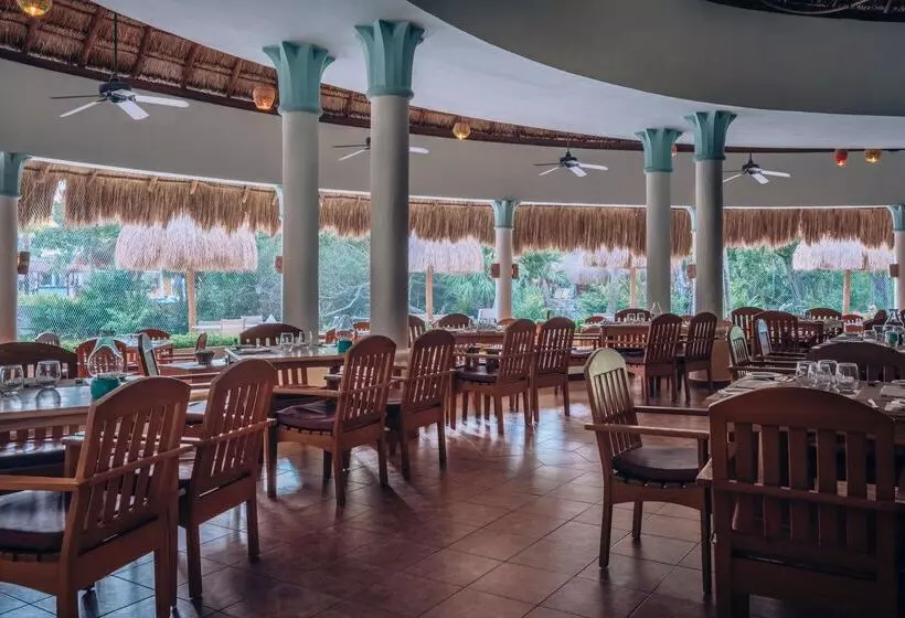 ホテル Iberostar Waves Paraíso del Mar