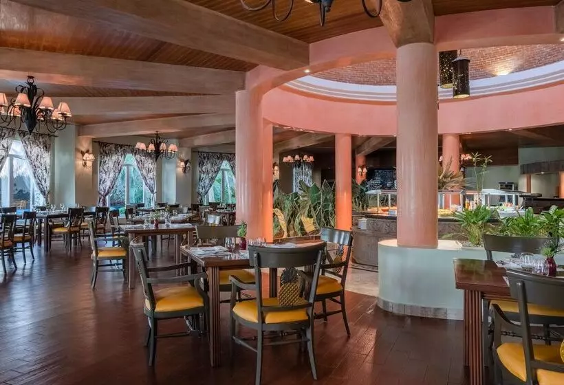 ホテル Iberostar Waves Paraíso del Mar