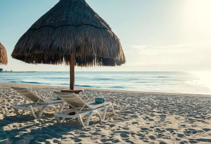 ホテル Iberostar Waves Paraíso del Mar