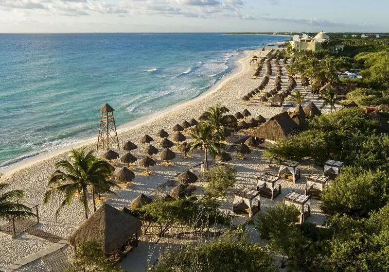 ホテル Iberostar Waves Paraíso del Mar