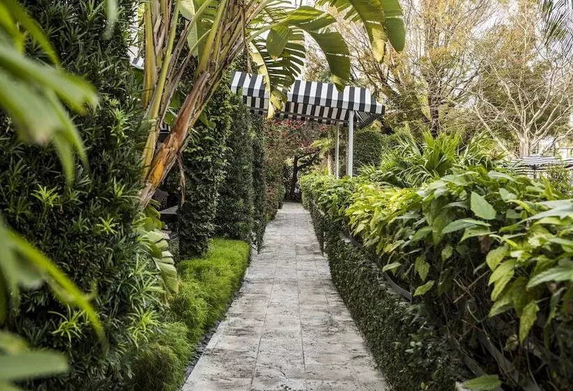 Kimpton Angler’s Hotel South Beach, An Ihg