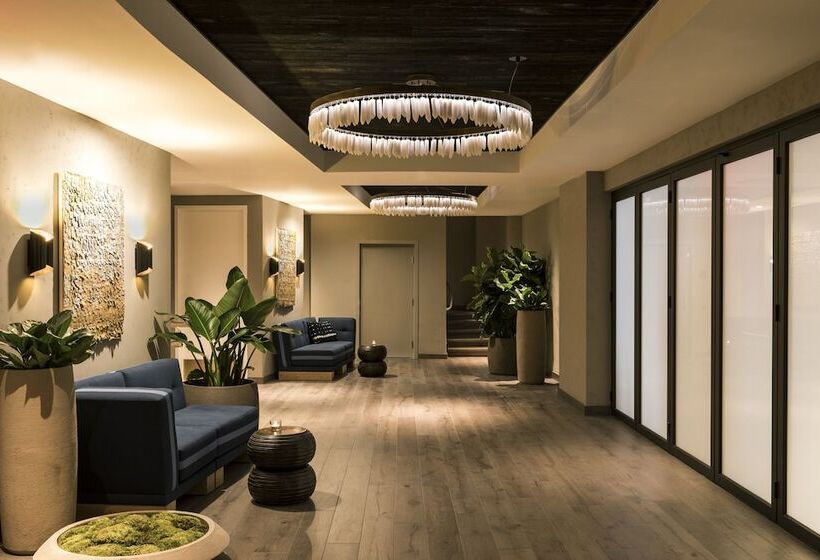 Kimpton Angler’s Hotel South Beach, An Ihg