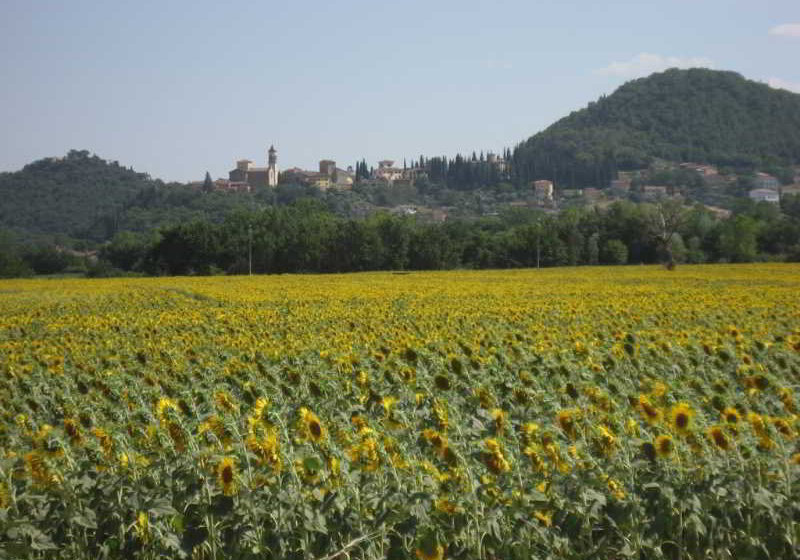 乡村酒店 Agriturismo Il Casale della Staffa