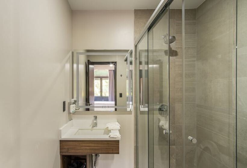 هتل Holiday Inn Express Morelia Centro Historico