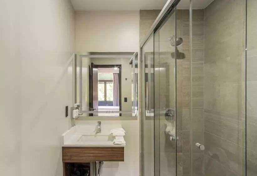 בית מלון כפרי Holiday Inn Express Morelia Centro Historico