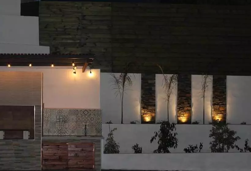 A&n Daimalos