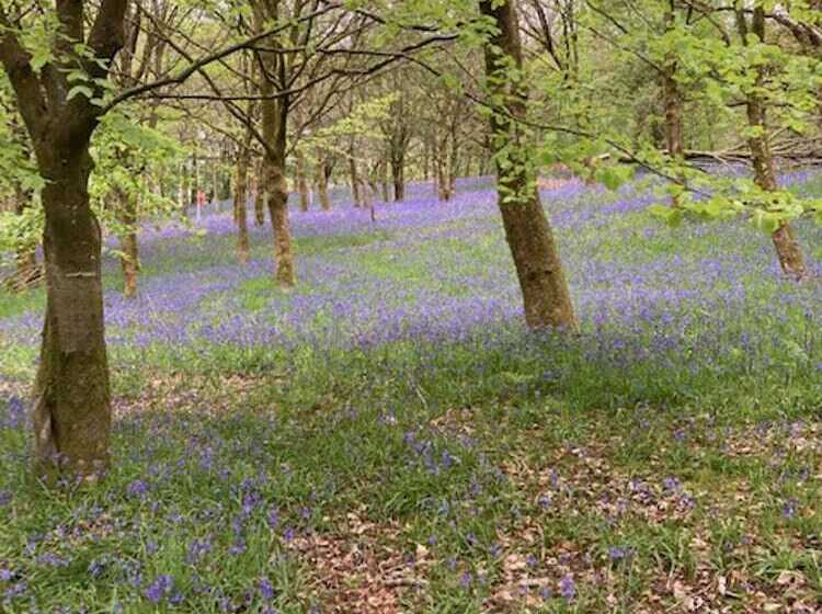 Cosy 2 Bed Cottage With Garden Near Carlisle