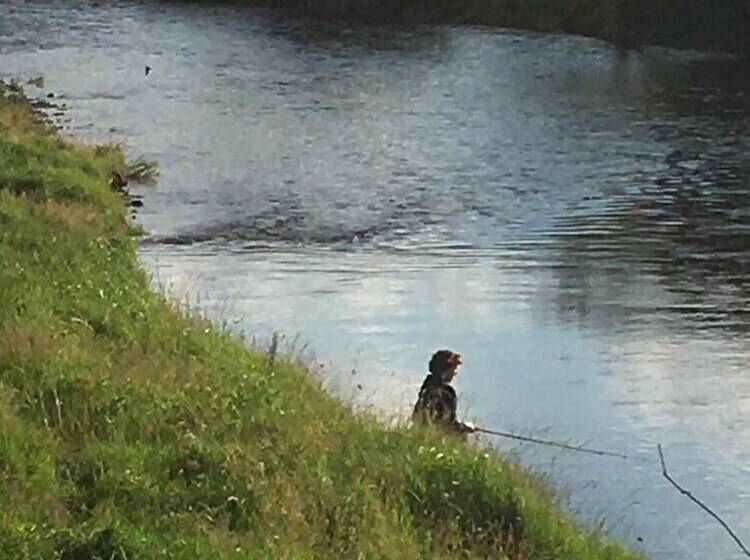 Cosy 2 Bed Cottage With Garden Near Carlisle