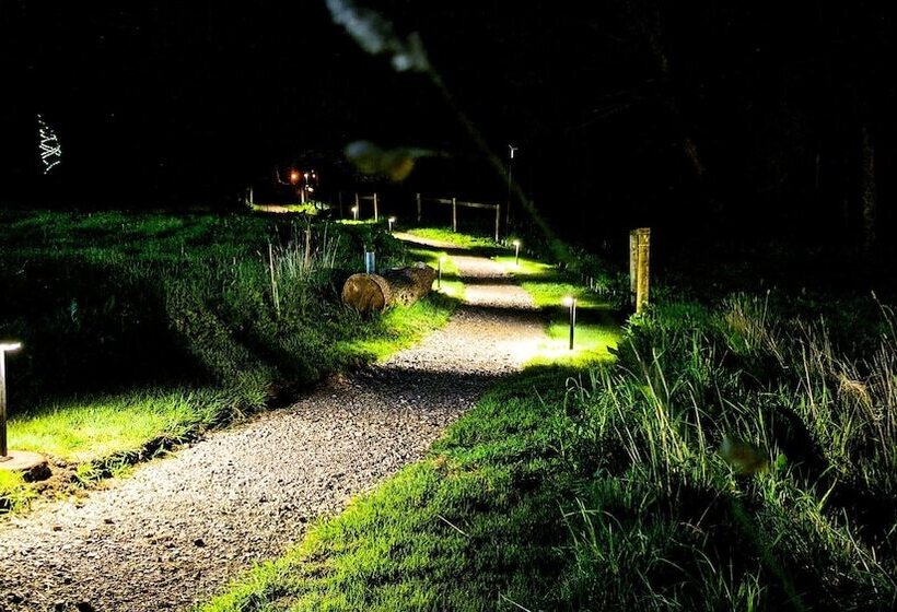 Emlyn S Coppice Luxury Woodland Glamping