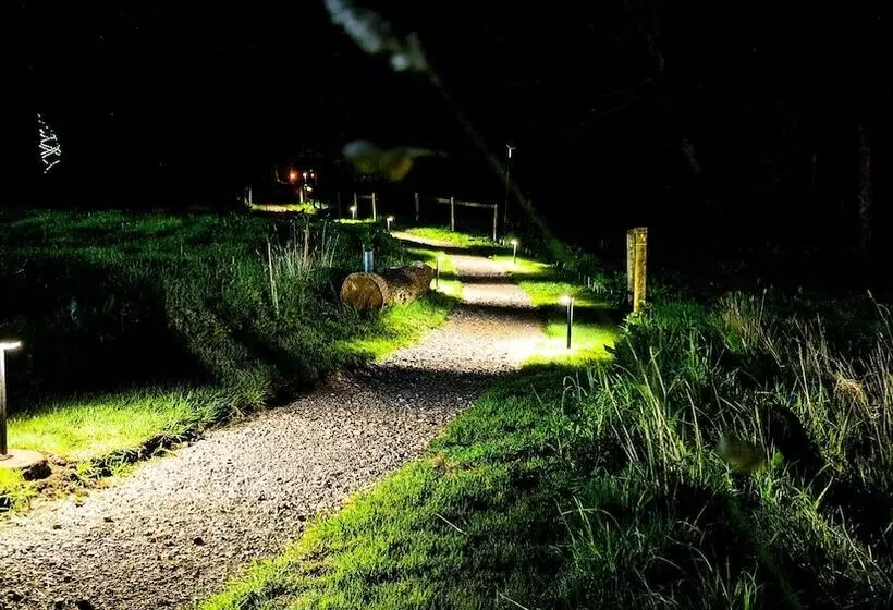 Emlyn S Coppice   Luxury Woodland Glamping