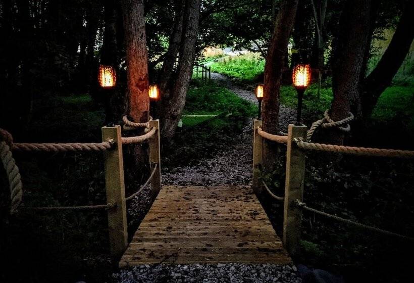 Emlyn S Coppice Luxury Woodland Glamping